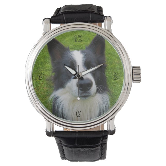 Border Collie Watch (Front)