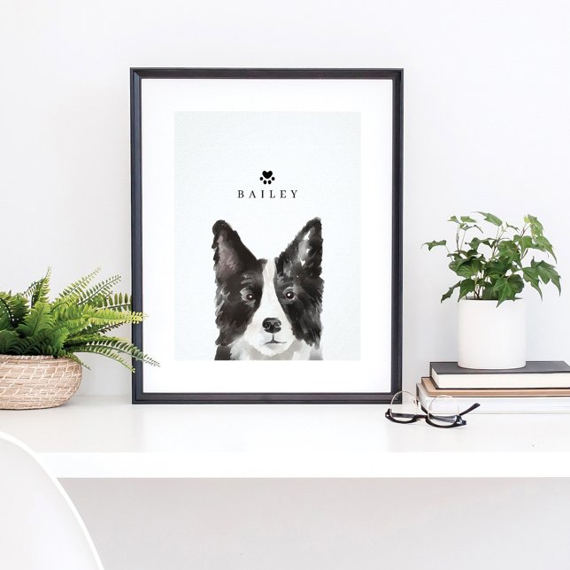 Border Collie Watercolor Illustration Dog's Name Poster (Creator Uploaded)