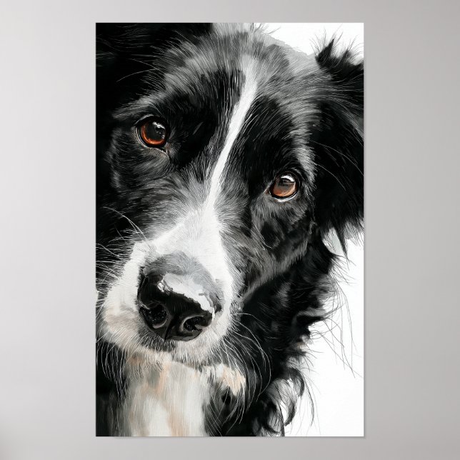Border collie watercolor portrait poster (Front)