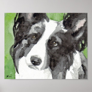 Border Collie Watercolor Poster