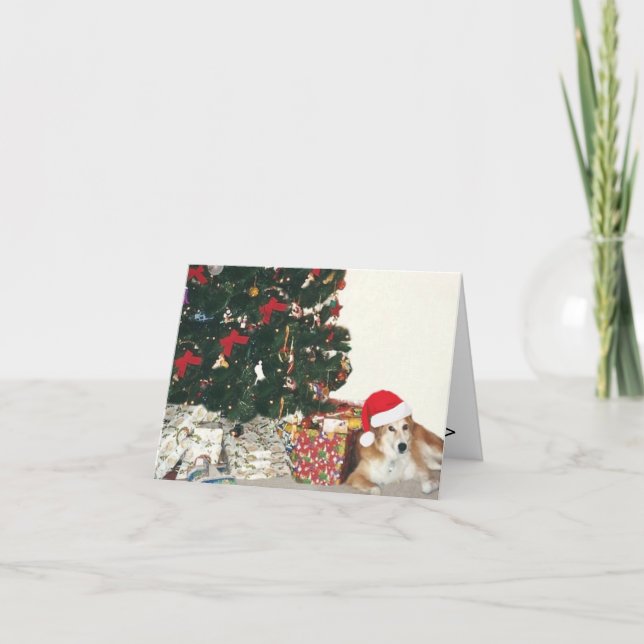 Border Collie Wearing a Santa Hat Holiday Card (Front)