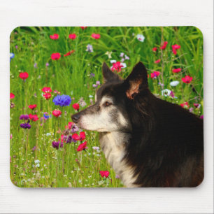 Border Collie with beautiful flowers Mouse Mat