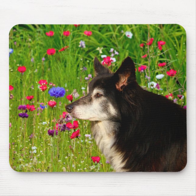 Border Collie with beautiful flowers Mouse Mat (Front)