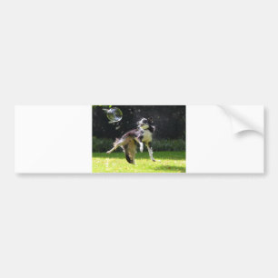 border collie with soap bubbles bumper sticker