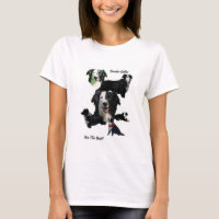 Border Collies Are The Best!!