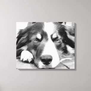 BORDER COLLIES CANVAS PRINT