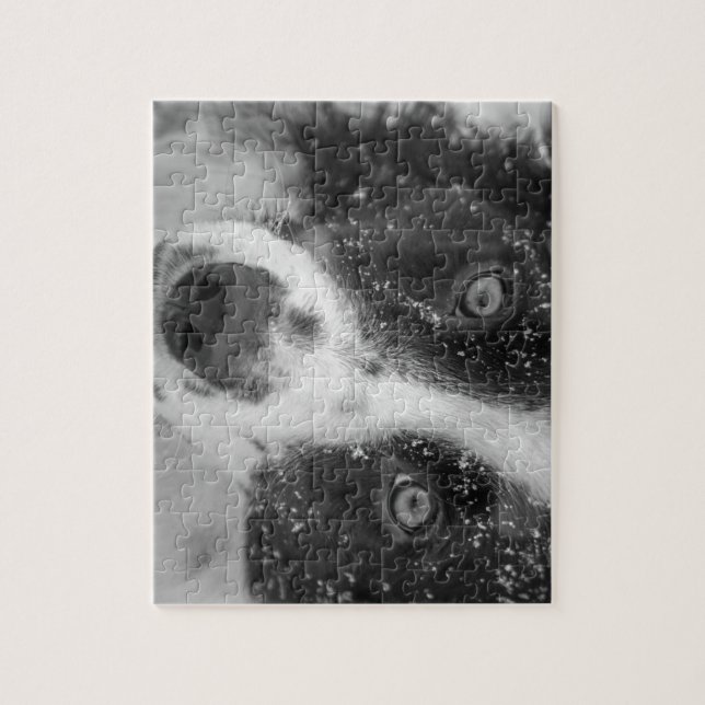 Border Collie's First Snow Jigsaw Puzzle (Vertical)
