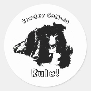 Border Collies Rule Cute Dog  Classic Round Sticker