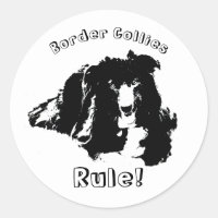 Border Collies Rule Cute Dog