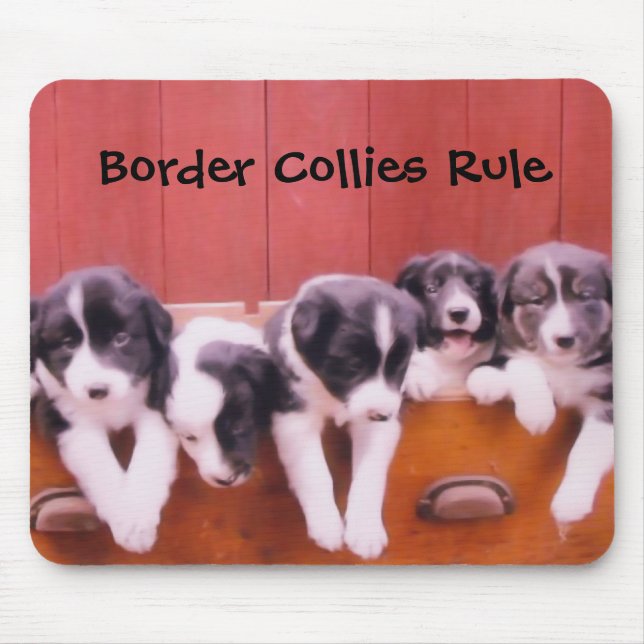Border Collies Rule Mouse Mat (Front)
