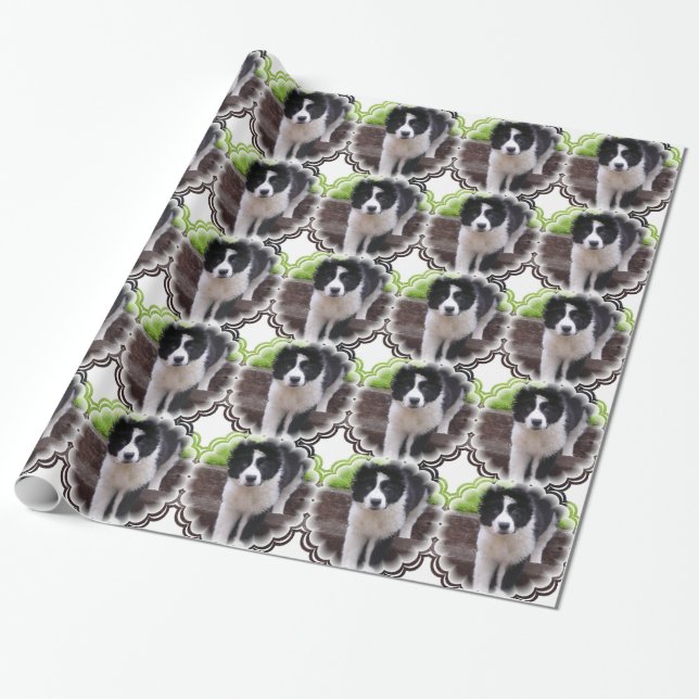 Border Collies Wrapping Paper (Unrolled)