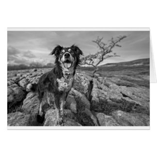 Border on lookout