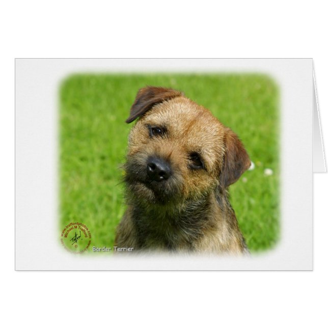 Border Terrier 9W009D-127 (Front Horizontal)