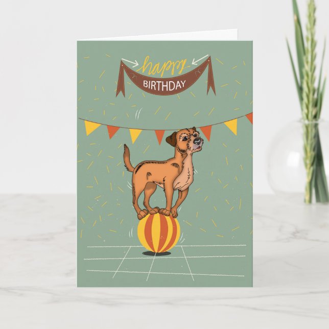 Border Terrier Birthday Greeting Card (Front)