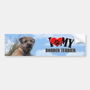 Border Terrier Bumper Sticker