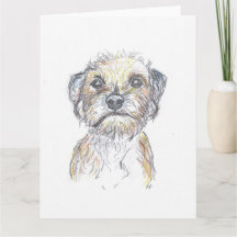 Border Terrier 