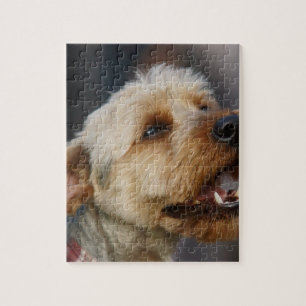 Border Terrier Cross Jigsaw Puzzle