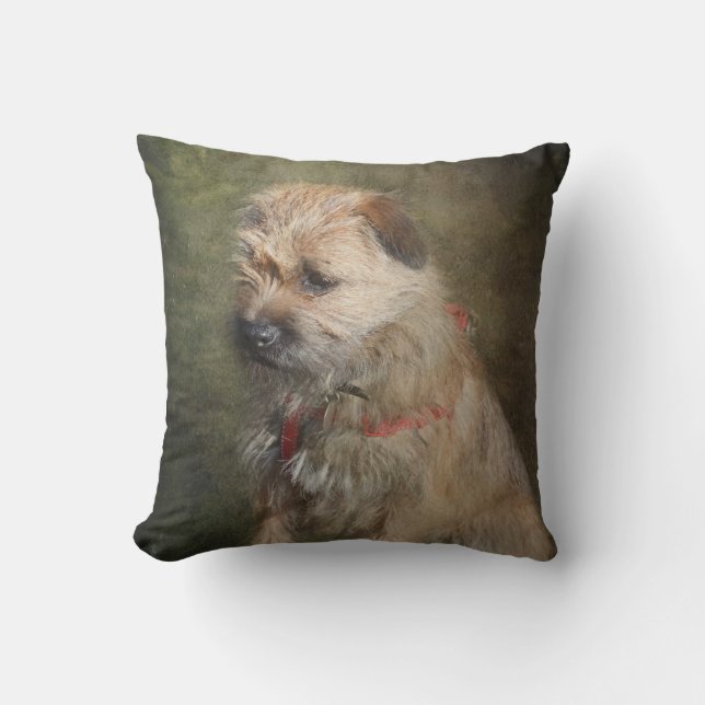 Border Terrier Cushion (Front)