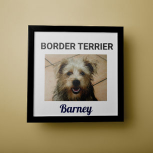Border Terrier Custom Dog Poster