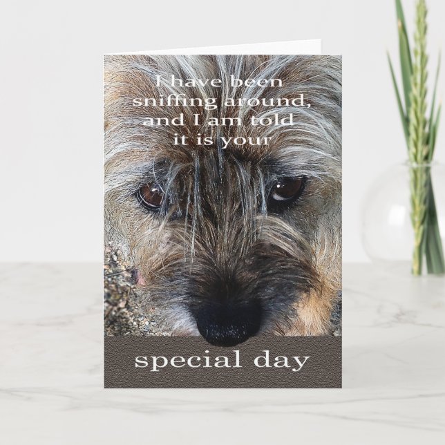 Border Terrier dog birthday card (Front)