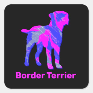 Border Terrier Dog Hot Pink & Blue Square Sticker