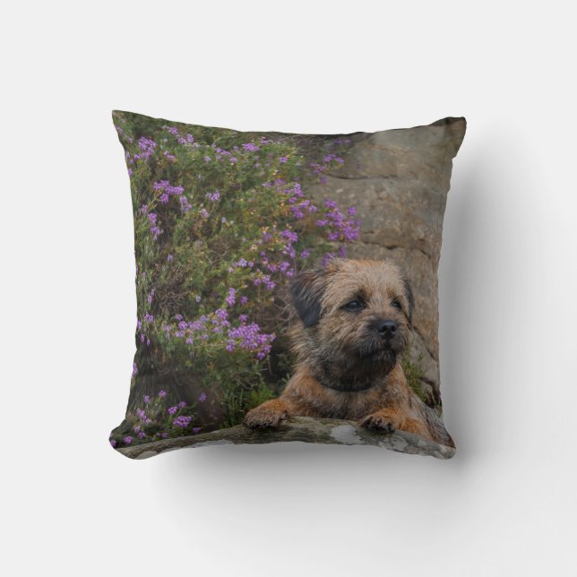 Border Terrier Dog In Wild Heather Throw Pillow (Front)