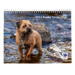 Border Terrier Dog, Medium, White Calendar