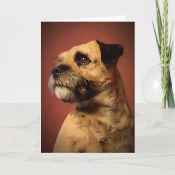 Border terrier christmas cards