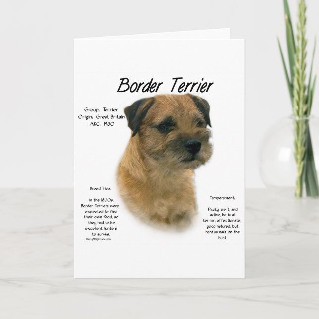 Border Terrier History Design Holiday Card (Front)