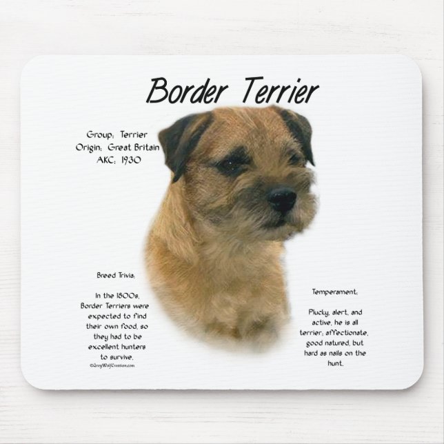 Border Terrier History Design Mouse Mat (Front)