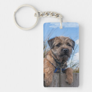 Border Terrier Keychain