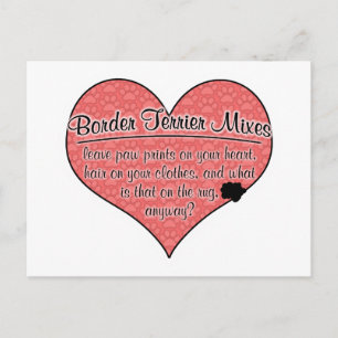 Border Terrier Mixes Paw Prints Dog Humour Postcard