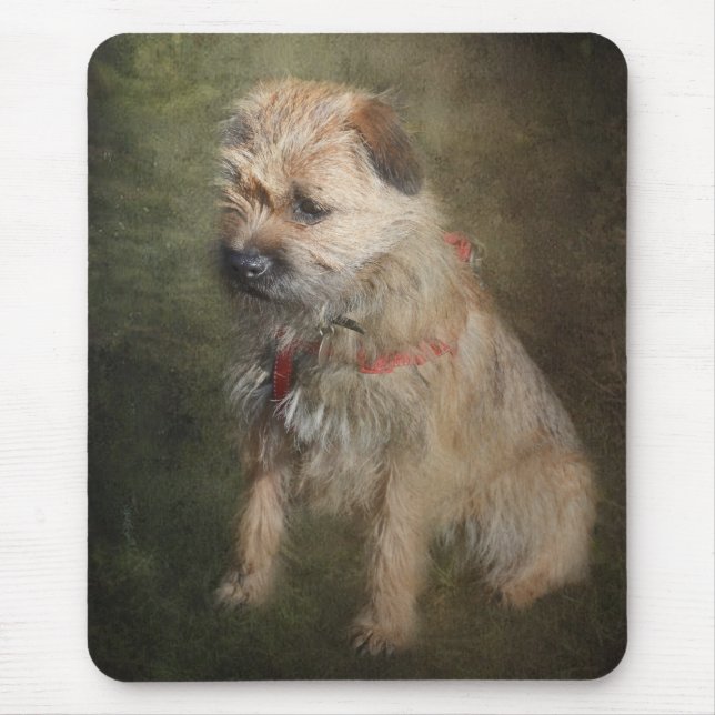Border Terrier Mousemat (Front)