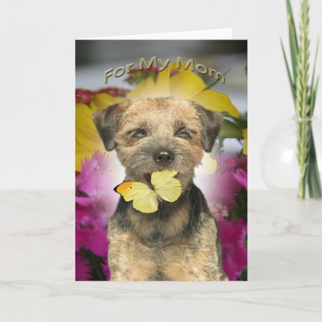 Border Terrier Mum Cards (Front)