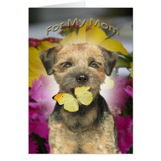Border Terrier Mum Cards