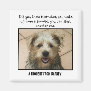 Border Terrier Personalised Custom Magnet