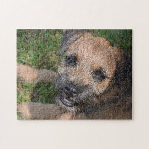 Border Terrier Portrait Jigsaw Puzzle
