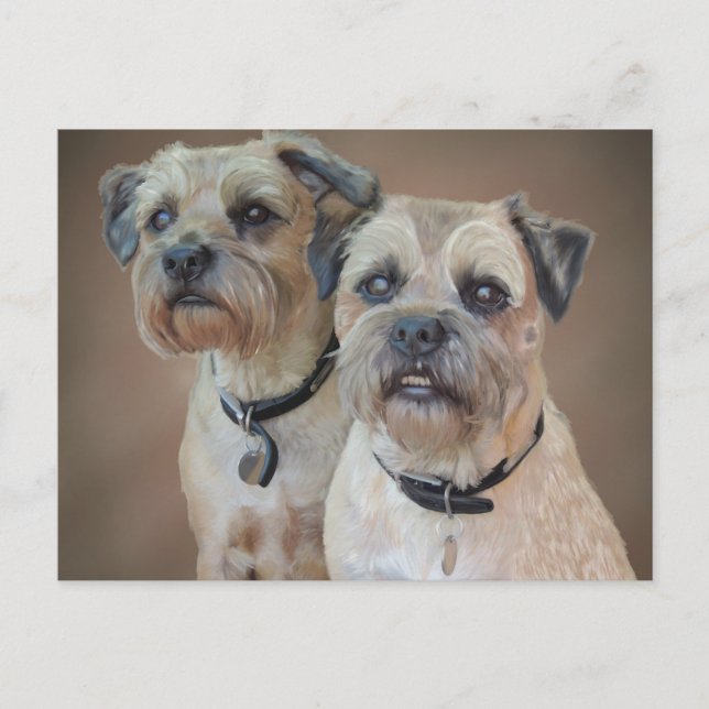 Border Terrier Postcard (Front)