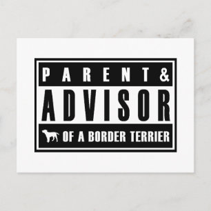 Border Terrier Postcard