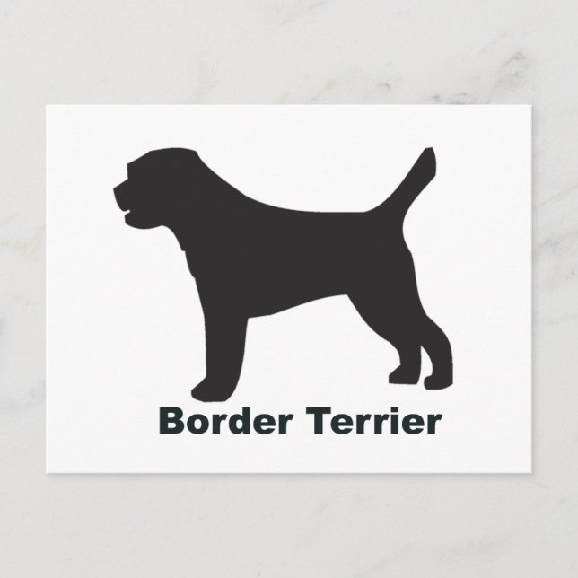 Border Terrier Postcard (Front)
