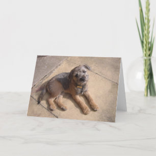 Border Terrier Puppy Card