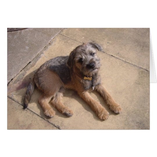 Best Of 90 Border Terrier Card