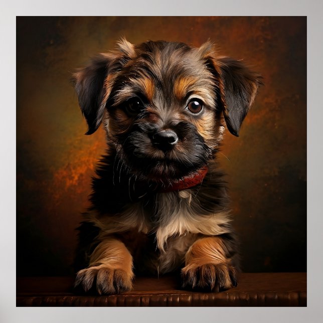 Border Terrier Puppy  Poster (Front)