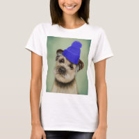 Border Terrier with Blue Bobble Hat