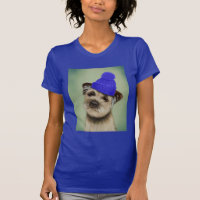 Border Terrier with Blue Bobble Hat