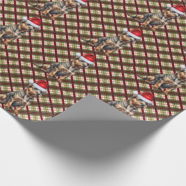 Border Terrier with Red and Green Christmas Wrapping Paper (Corner)