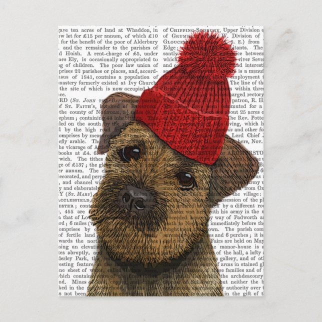 Border Terrier with Red Bobble Hat 3 Postcard (Front)