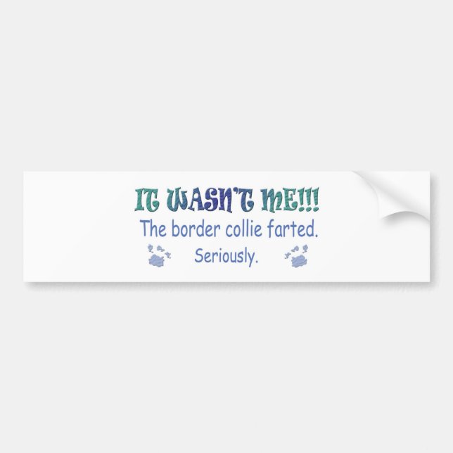BorderCollie Bumper Sticker (Front)