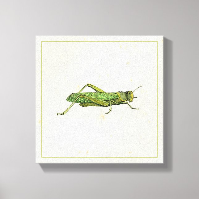 Bordered Print of Green Grasshopper (Front)