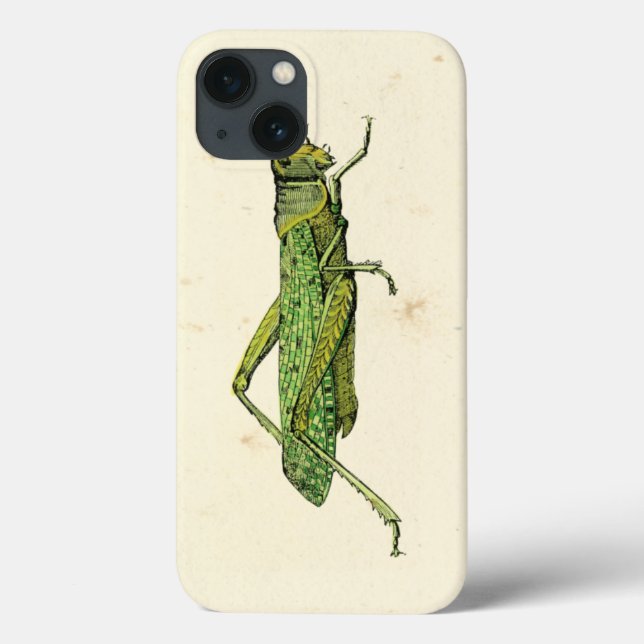 Bordered Print of Green Grasshopper Case-Mate iPhone Case (Back)
